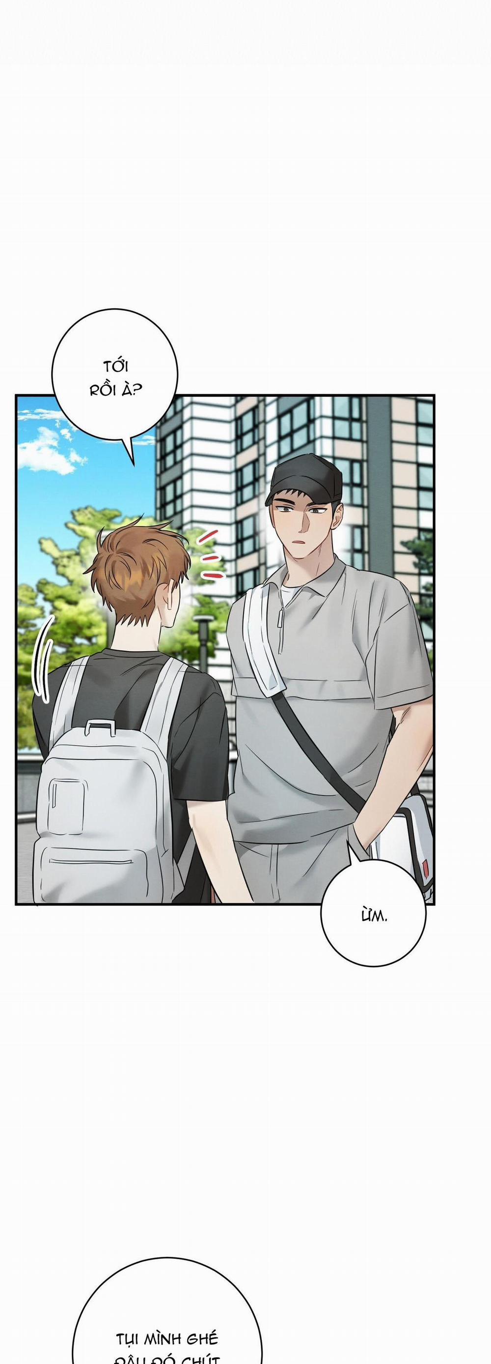 TÌNH YÊU MẬN NGỌT 22 trang 10