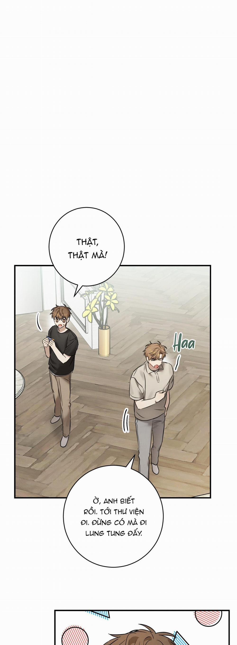 TÌNH YÊU MẬN NGỌT 22 trang 7