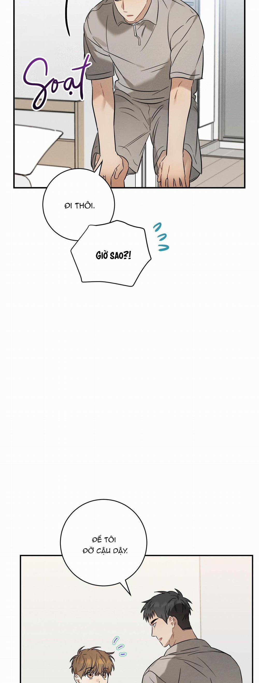 TÌNH YÊU MẬN NGỌT 23 trang 10