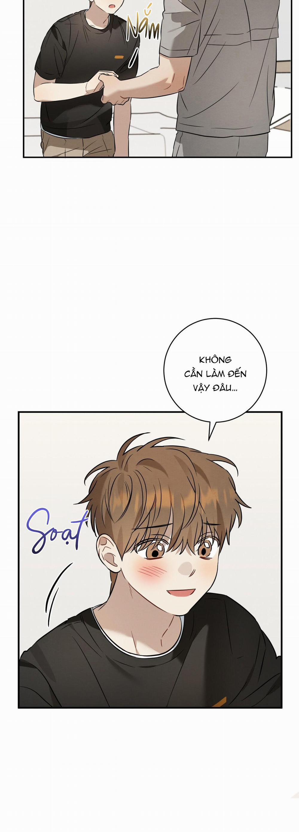 TÌNH YÊU MẬN NGỌT 23 trang 11