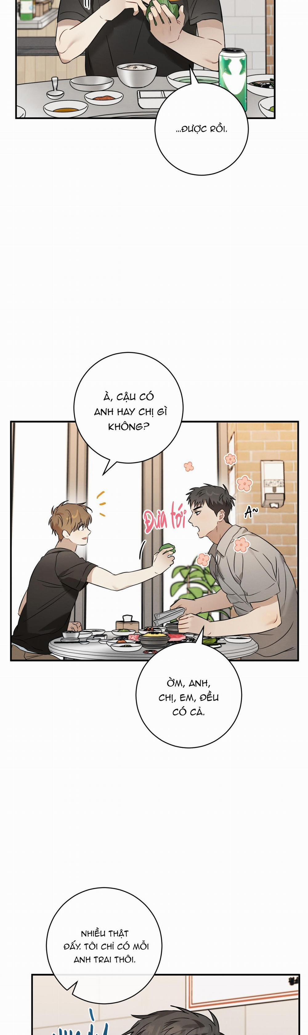 TÌNH YÊU MẬN NGỌT 23 trang 20