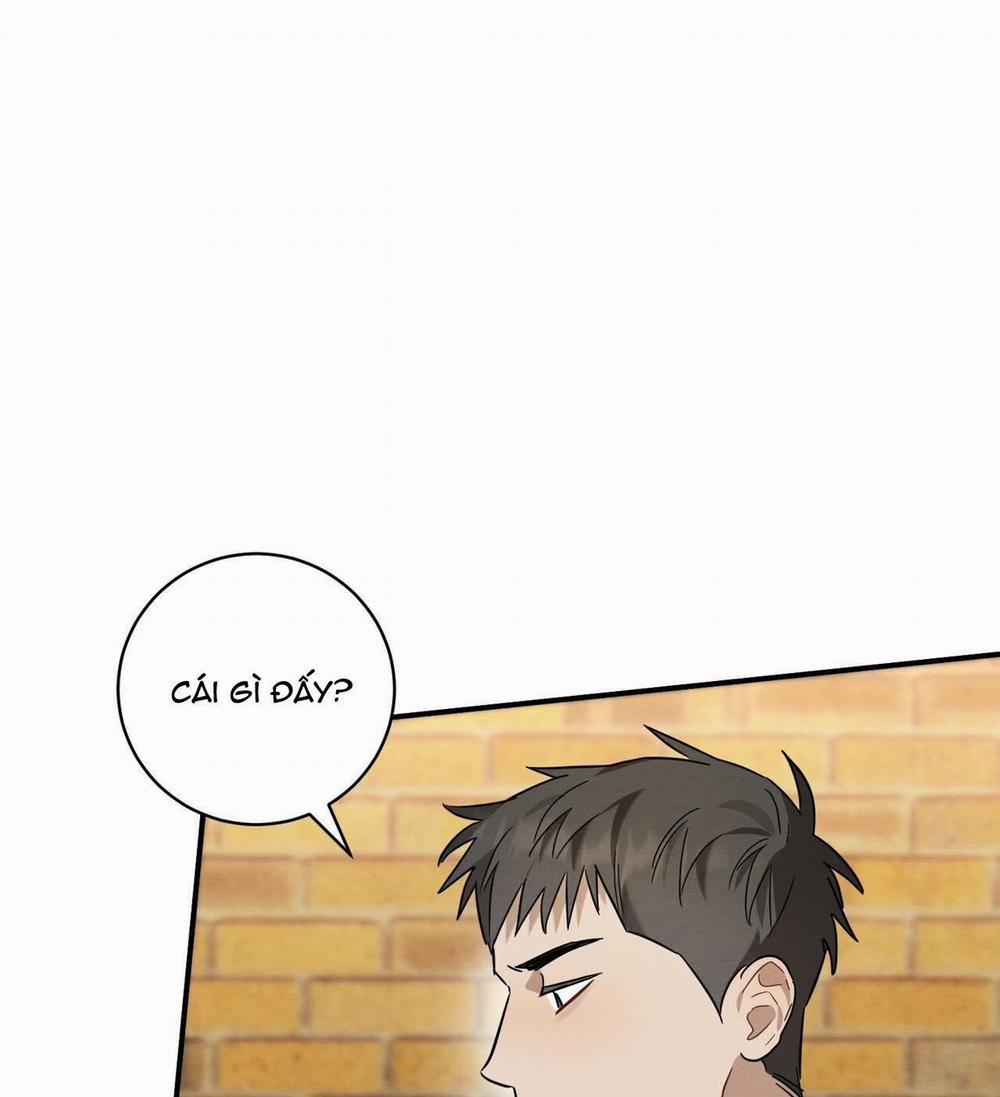 TÌNH YÊU MẬN NGỌT 25 trang 10