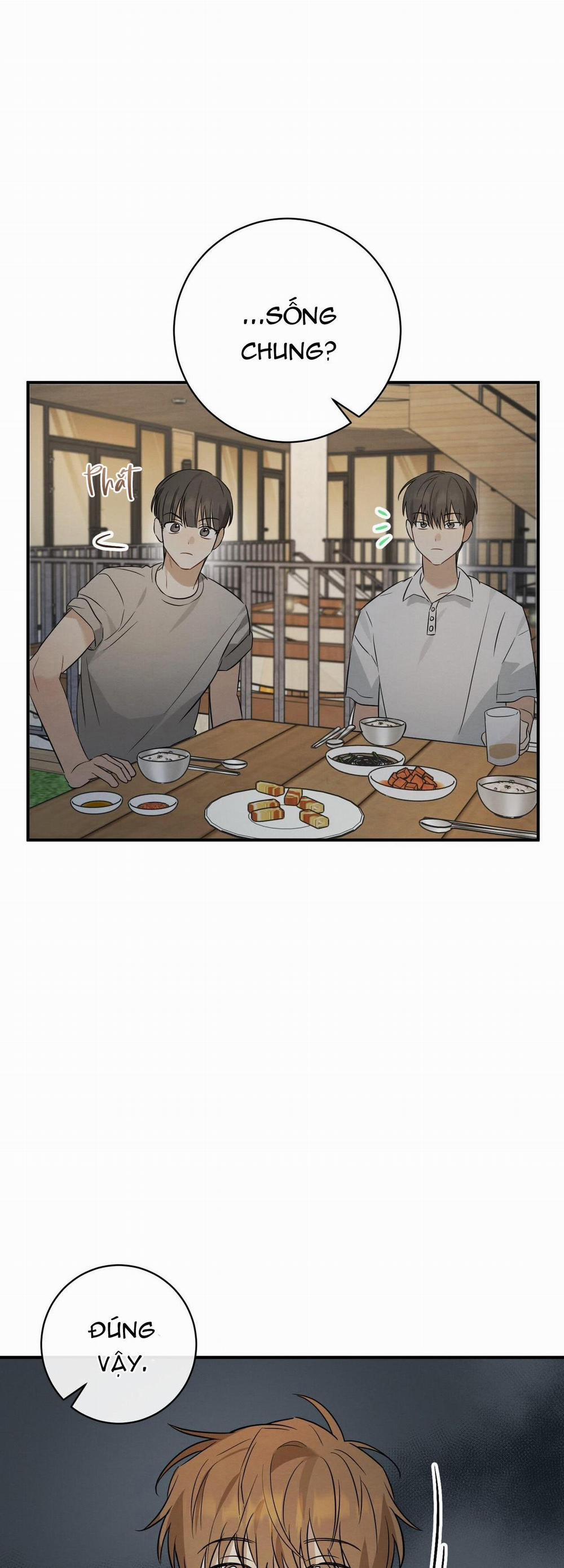 TÌNH YÊU MẬN NGỌT 28 trang 31