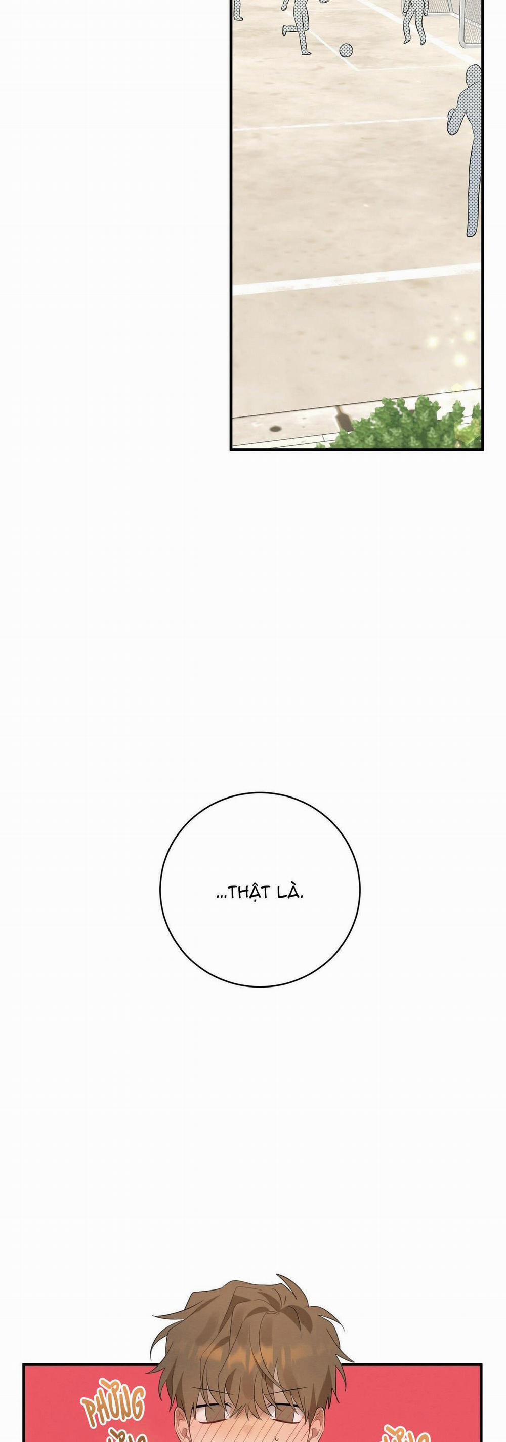 TÌNH YÊU MẬN NGỌT 3 trang 12