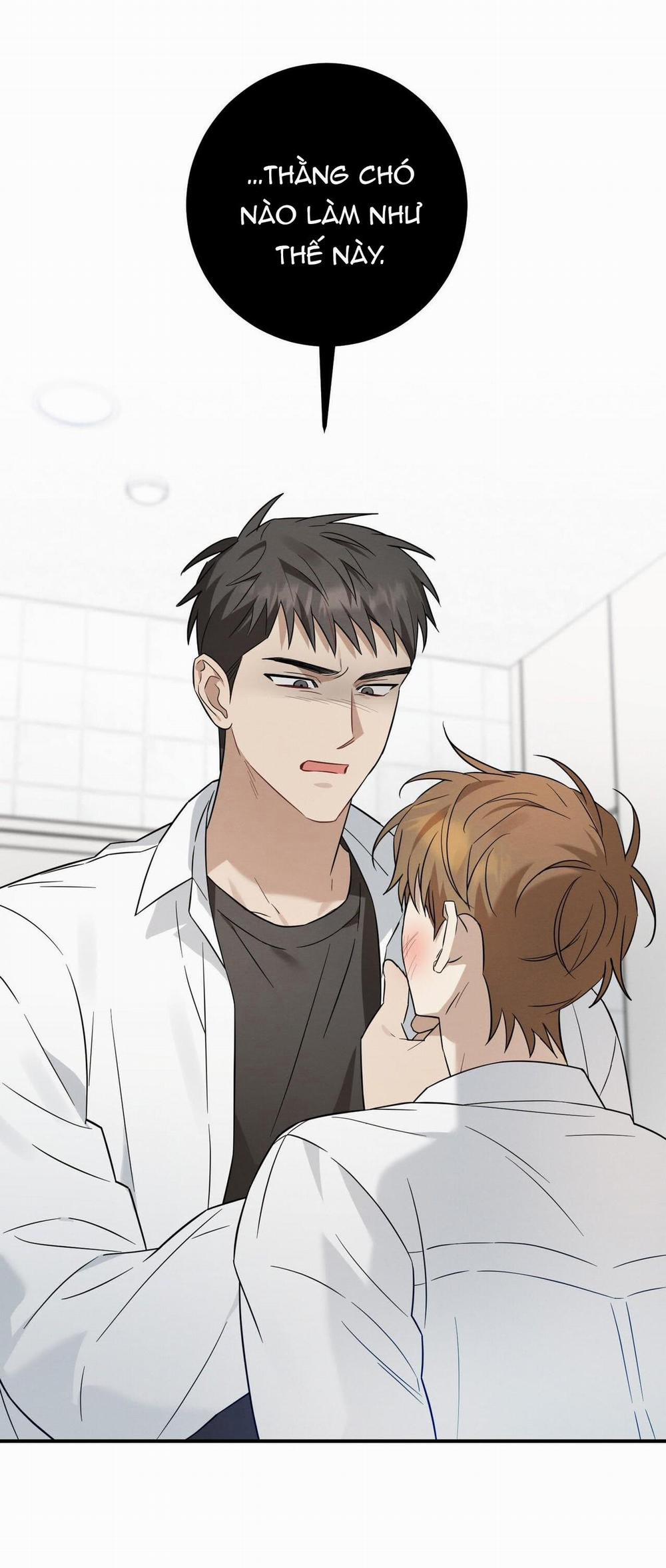 TÌNH YÊU MẬN NGỌT 38 trang 34