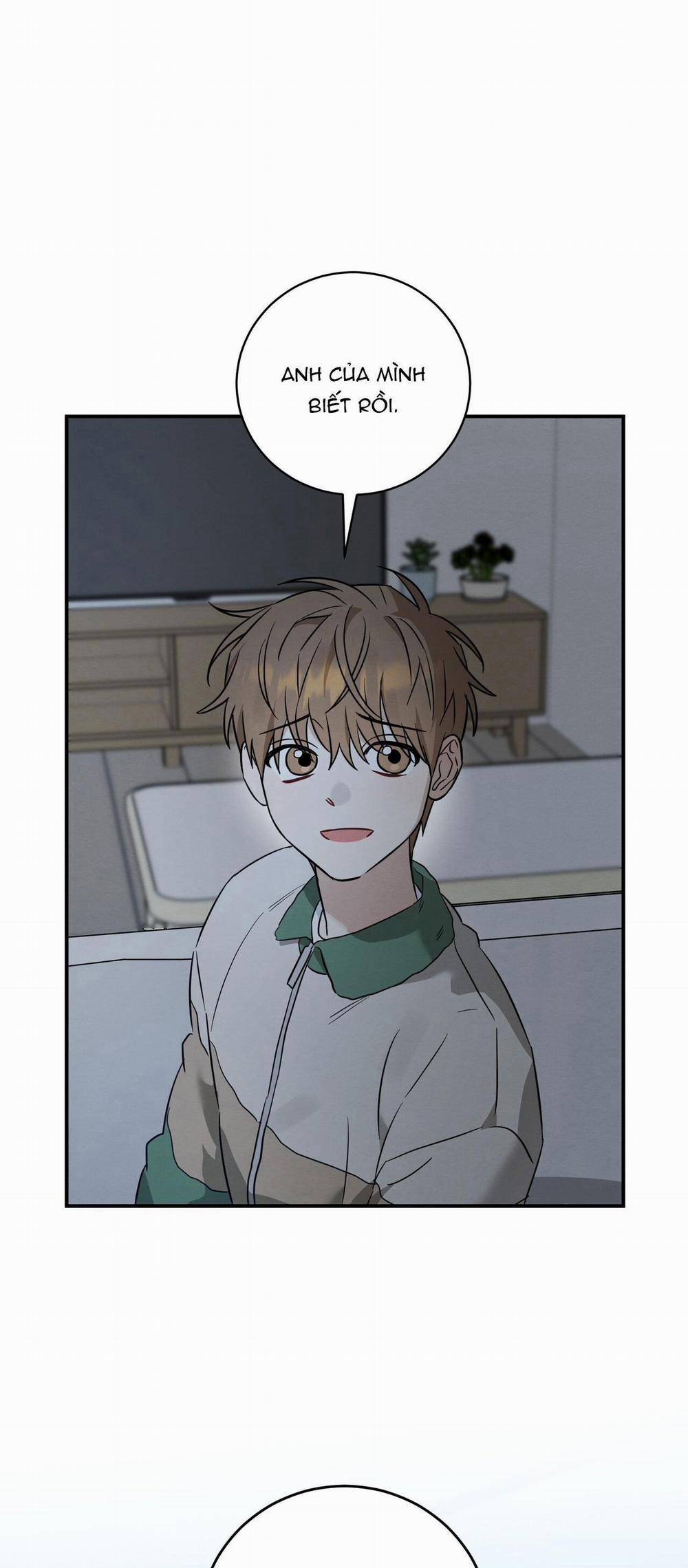 TÌNH YÊU MẬN NGỌT 42 trang 0