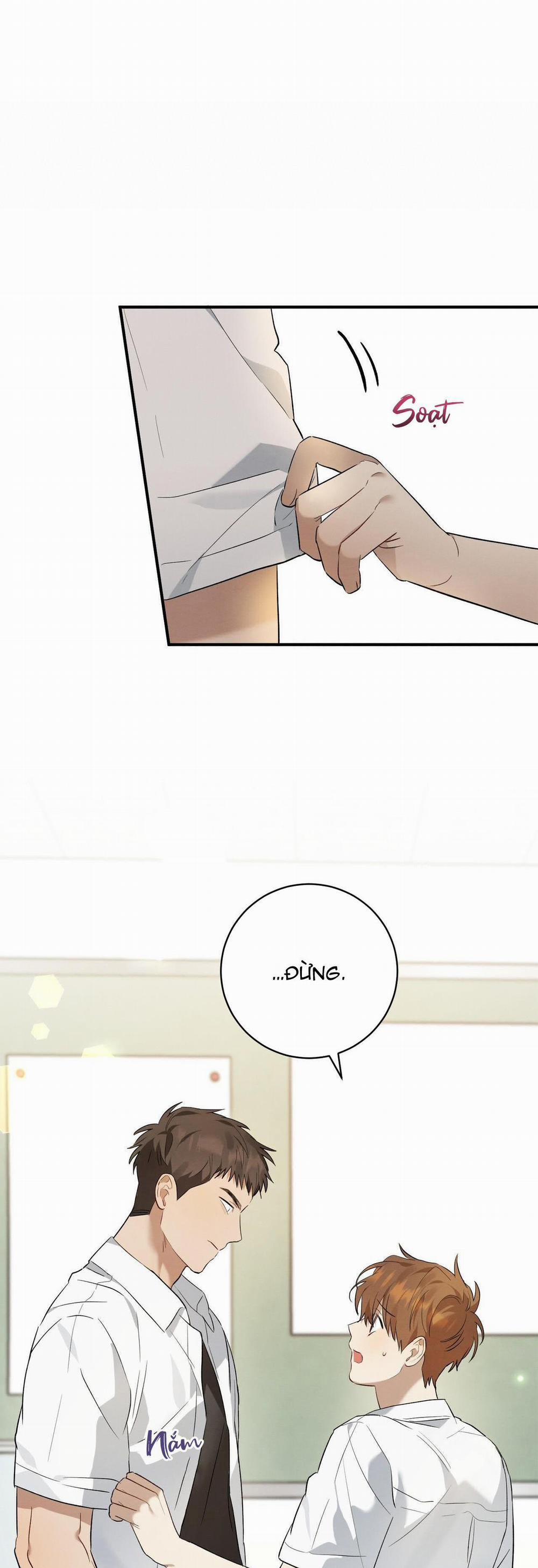 TÌNH YÊU MẬN NGỌT 6 trang 43