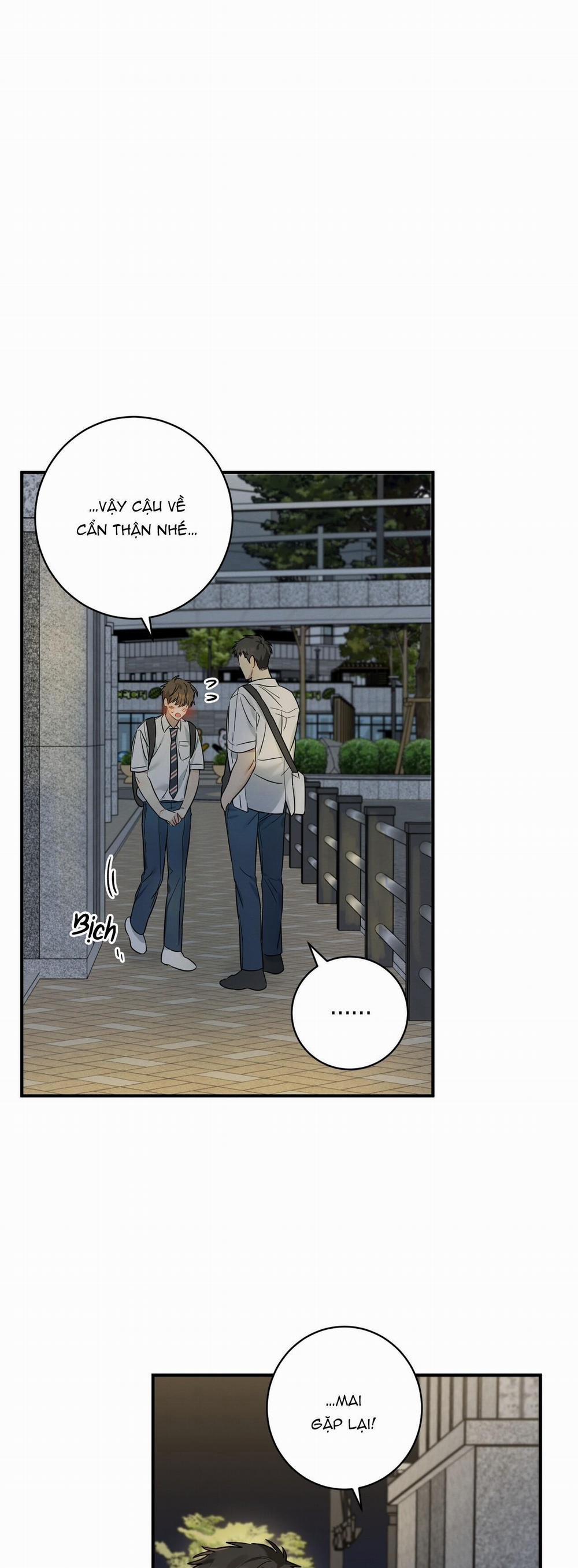 TÌNH YÊU MẬN NGỌT 8 trang 1