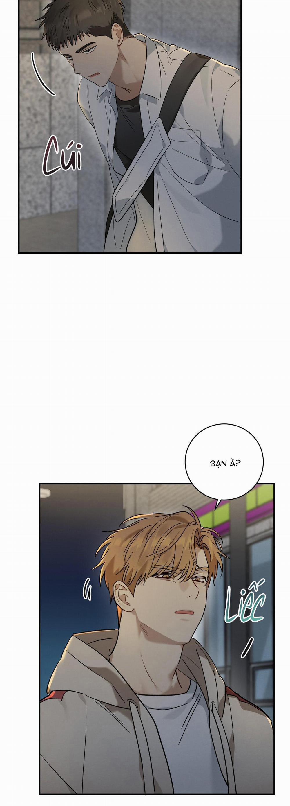 TÌNH YÊU MẬN NGỌT 8 trang 10