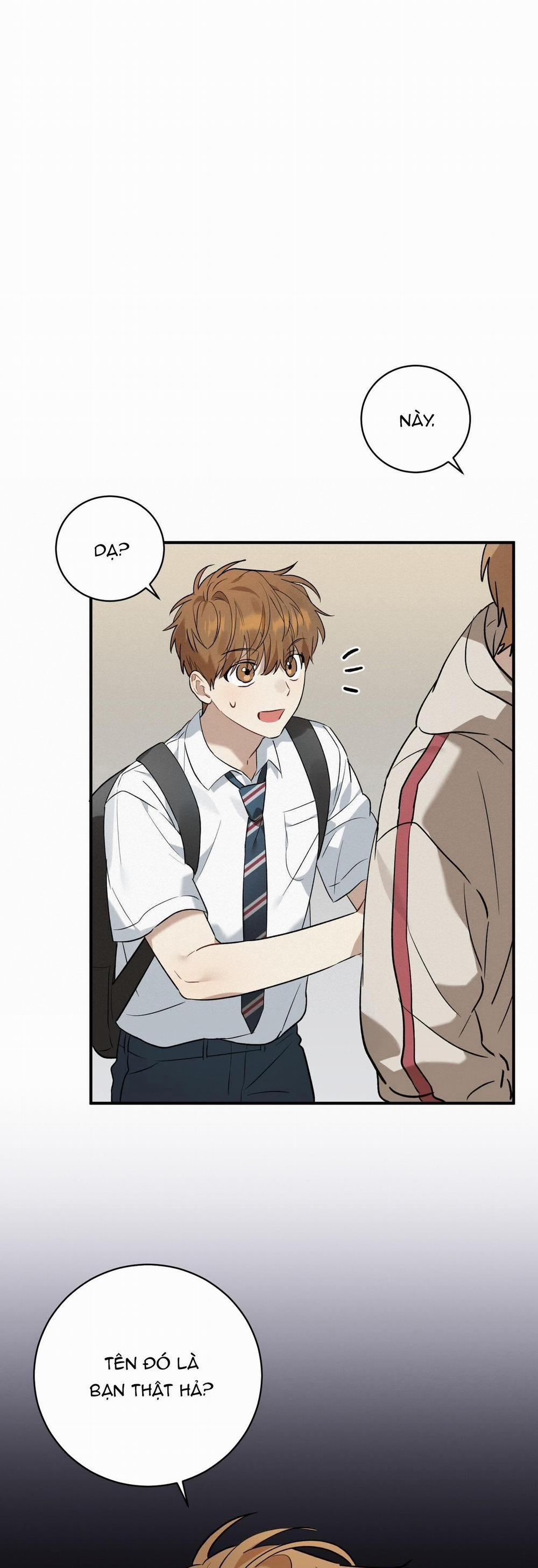 TÌNH YÊU MẬN NGỌT 8 trang 14