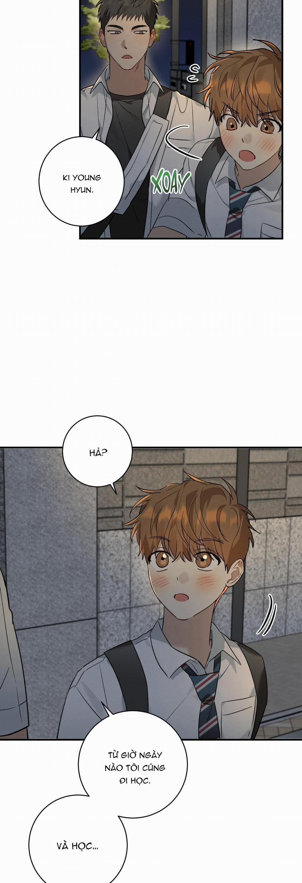 TÌNH YÊU MẬN NGỌT 8 trang 2