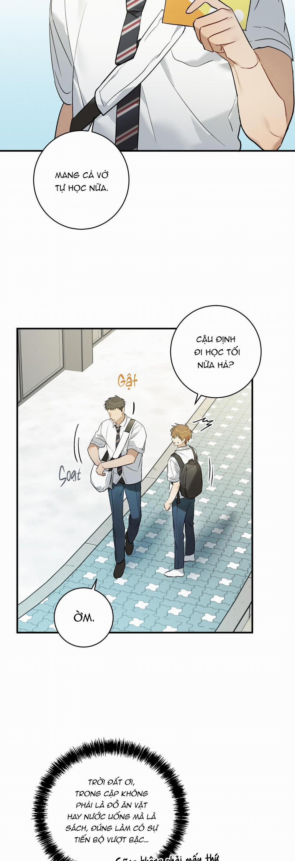 TÌNH YÊU MẬN NGỌT 8 trang 20