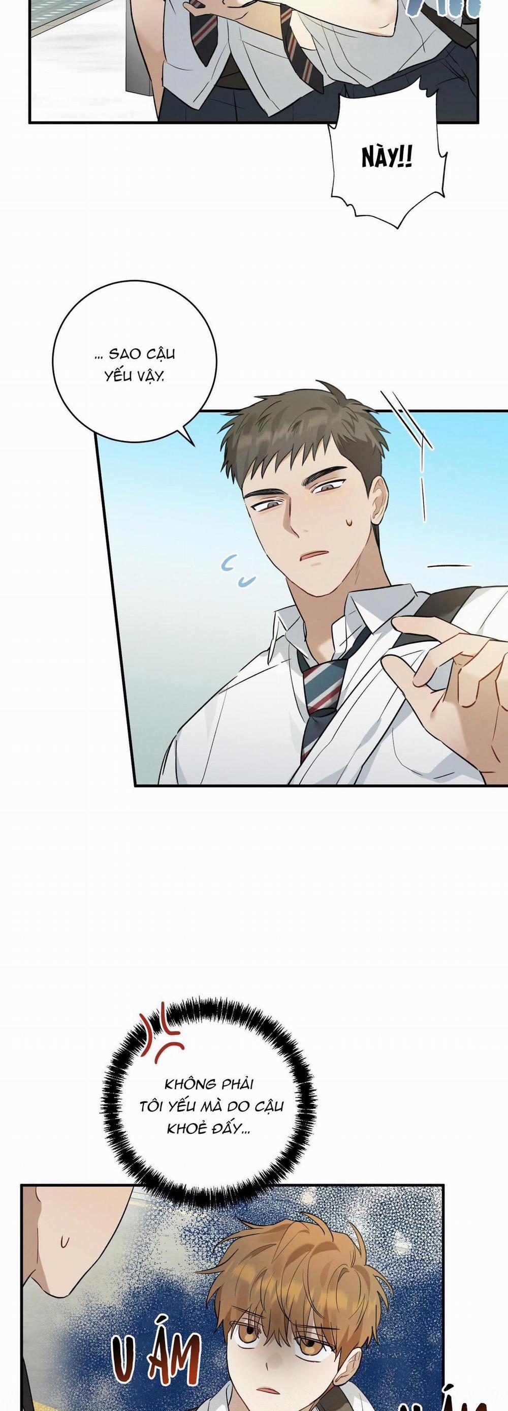 TÌNH YÊU MẬN NGỌT 8 trang 22