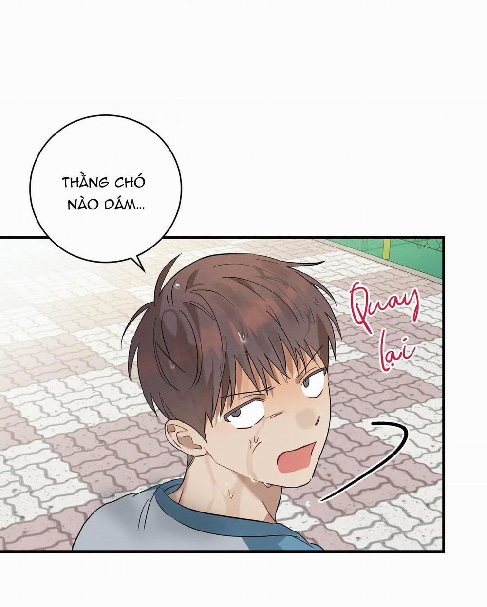 TÌNH YÊU MẬN NGỌT 9 trang 66