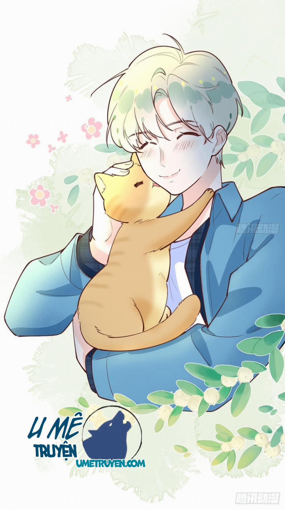 Tình Yêu Mạng Ngọt Ngào Lật Xe Rồi! 34 trang 11