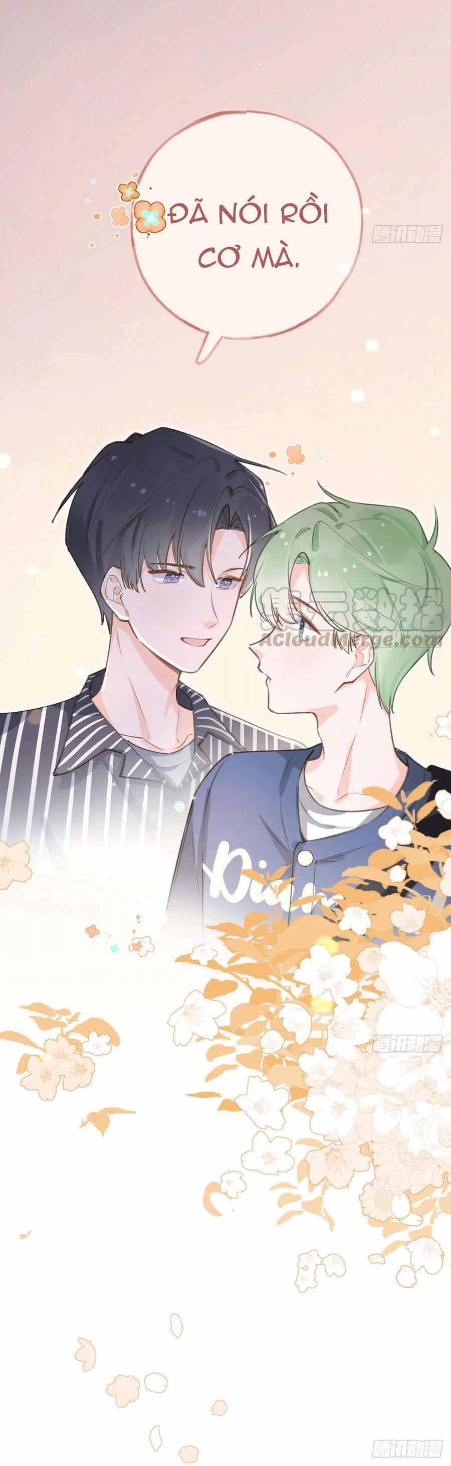 Tình Yêu Mạng Ngọt Ngào Lật Xe Rồi! 67 trang 17