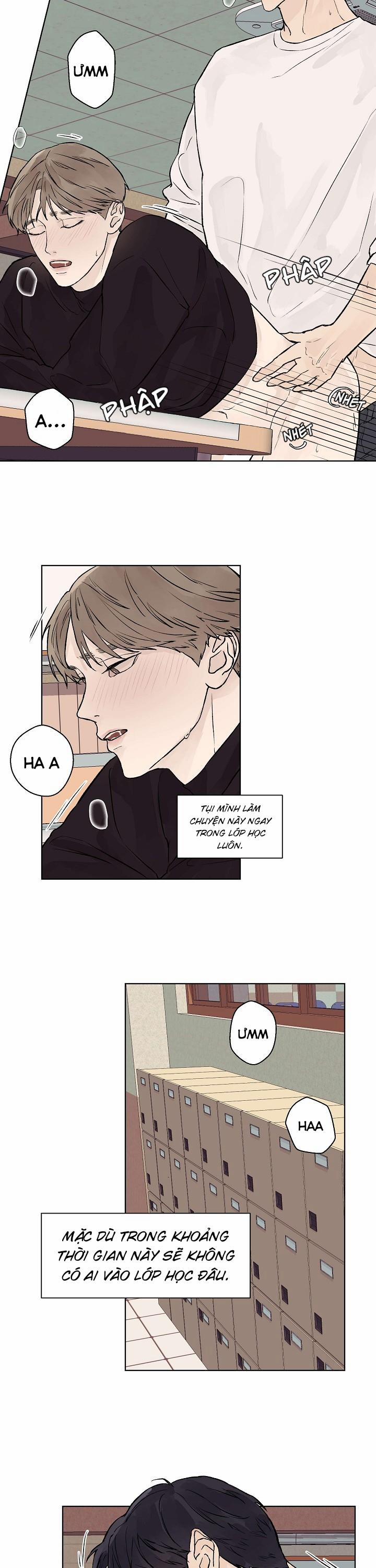 Tình Yêu Nồng Cháy 24 trang 12