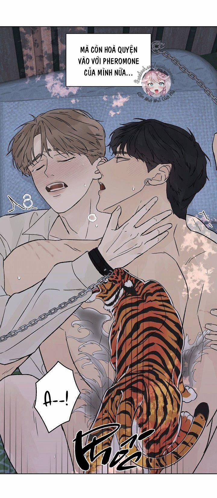 Tình Yêu Nồng Cháy 52 NGOẠI TRUYỆN 5 trang 27