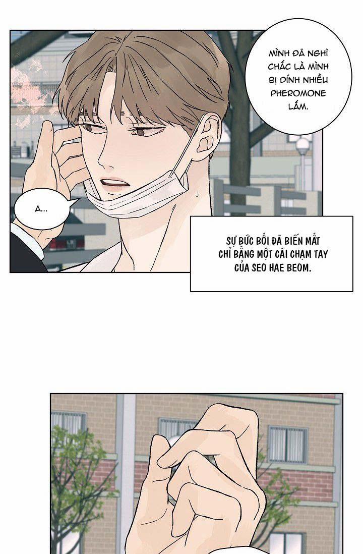 Tình Yêu Nồng Cháy 56 trang 26