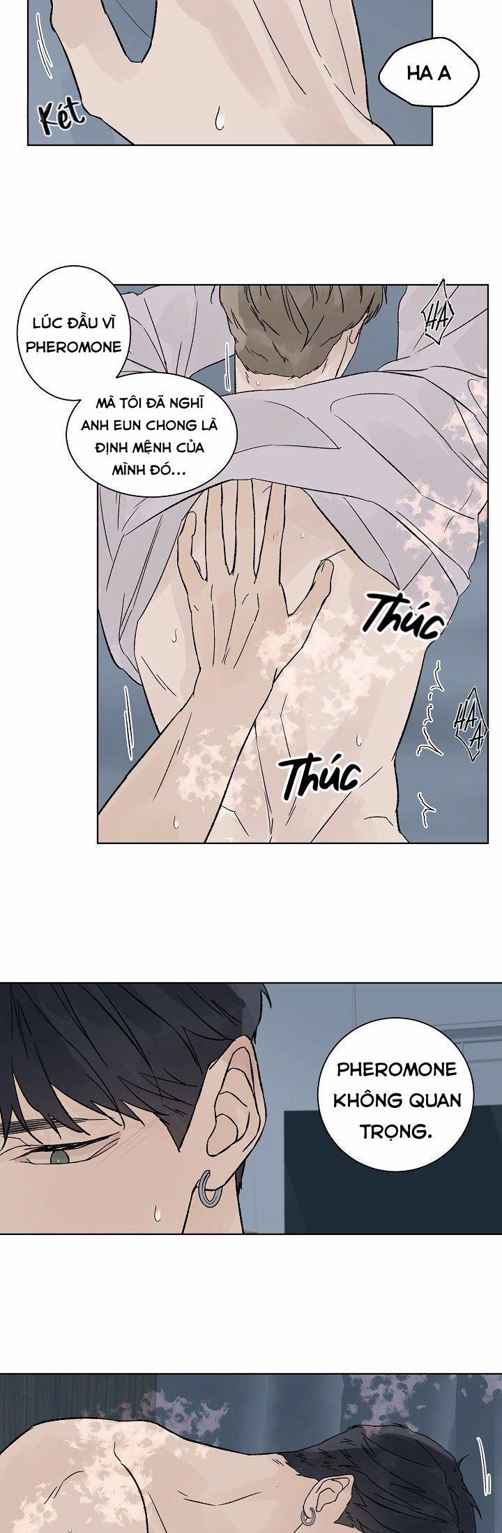 Tình Yêu Nồng Cháy 60 trang 38