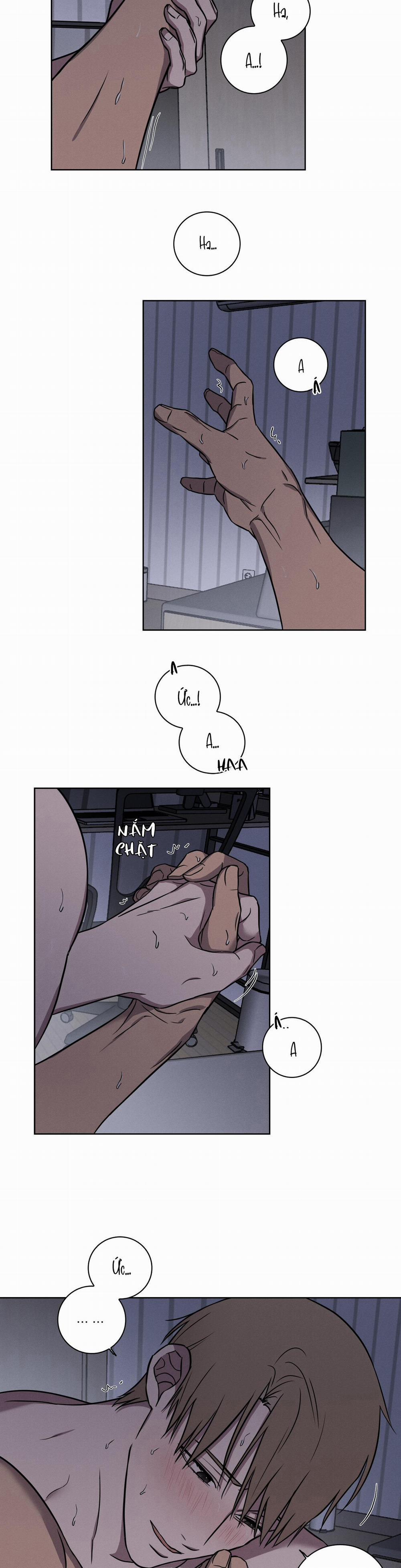 Tình Yêu Ở Phòng Gym 16 H+ trang 10