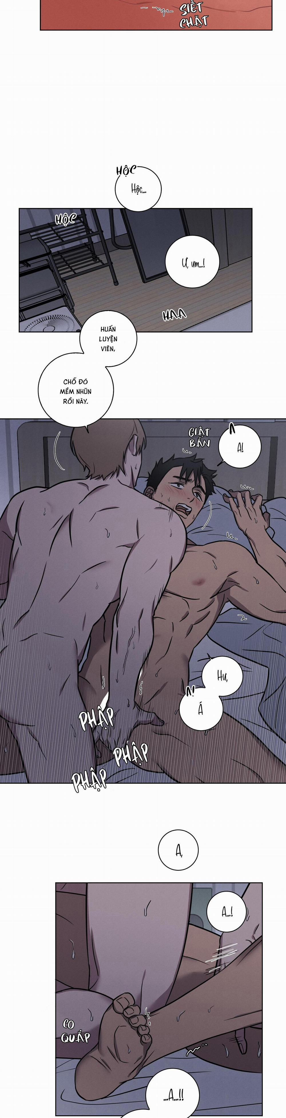 Tình Yêu Ở Phòng Gym 16 H+ trang 5