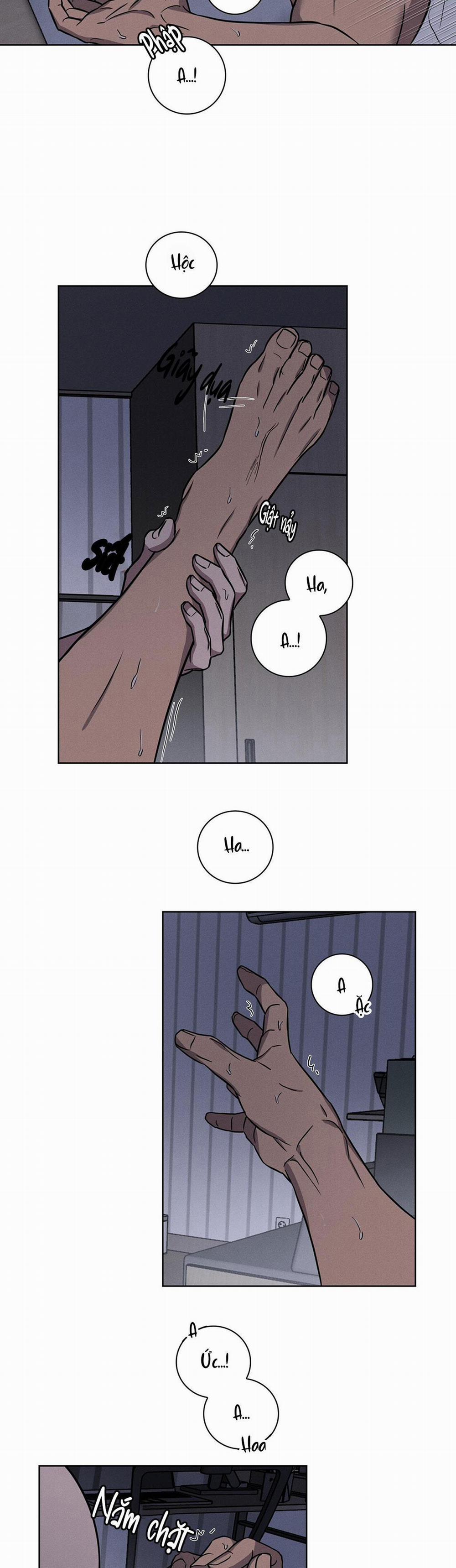 Tình Yêu Phòng Gym 16 trang 11