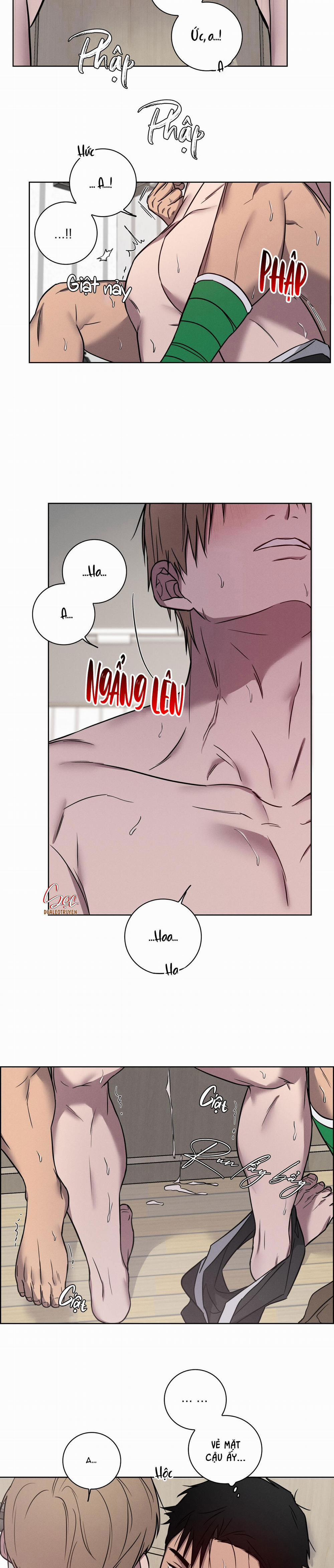 Tình Yêu Phòng Gym 25 trang 14