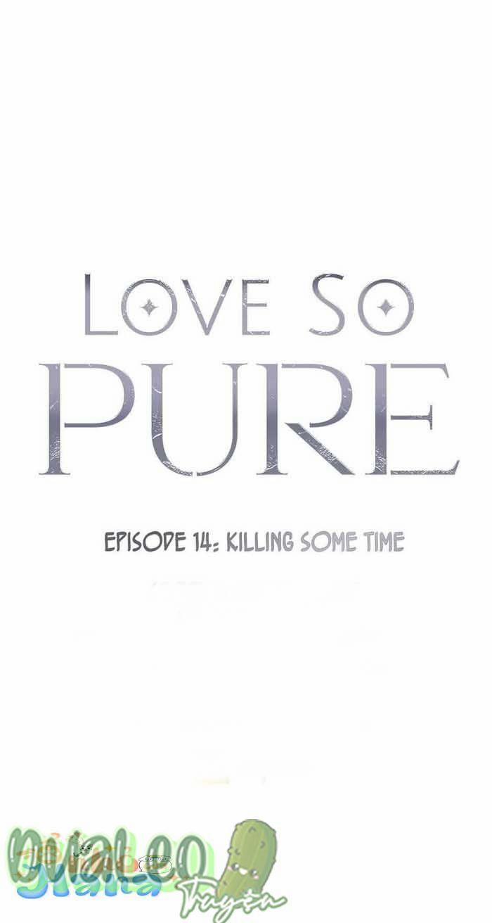 Tình Yêu Thuần Khiết 14 trang 0