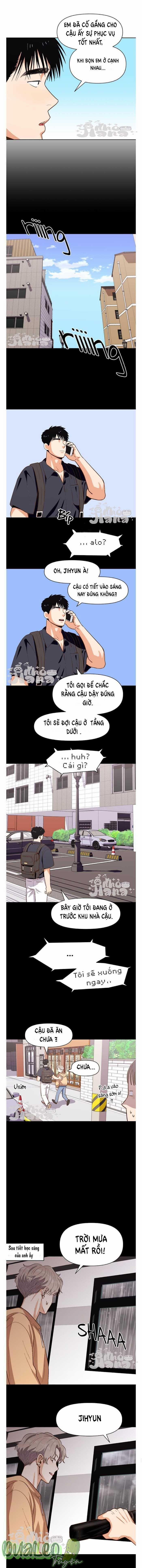 Tình Yêu Thuần Khiết 15 trang 1