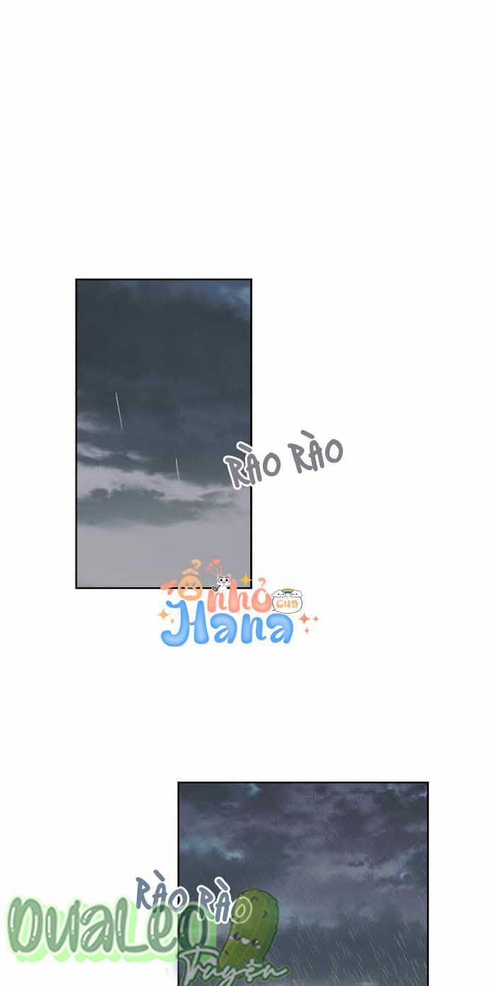 Tình Yêu Thuần Khiết 19 trang 0