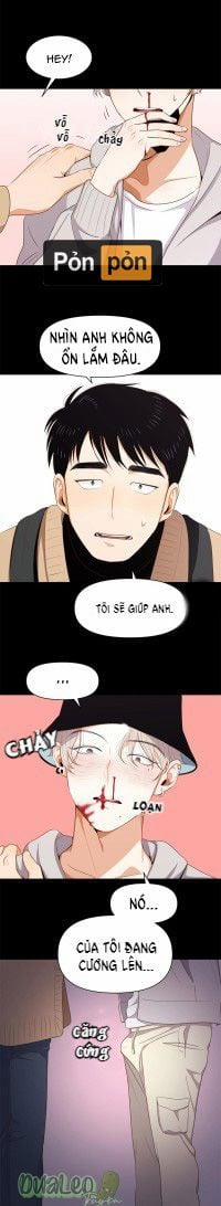 Tình Yêu Thuần Khiết 2 trang 11