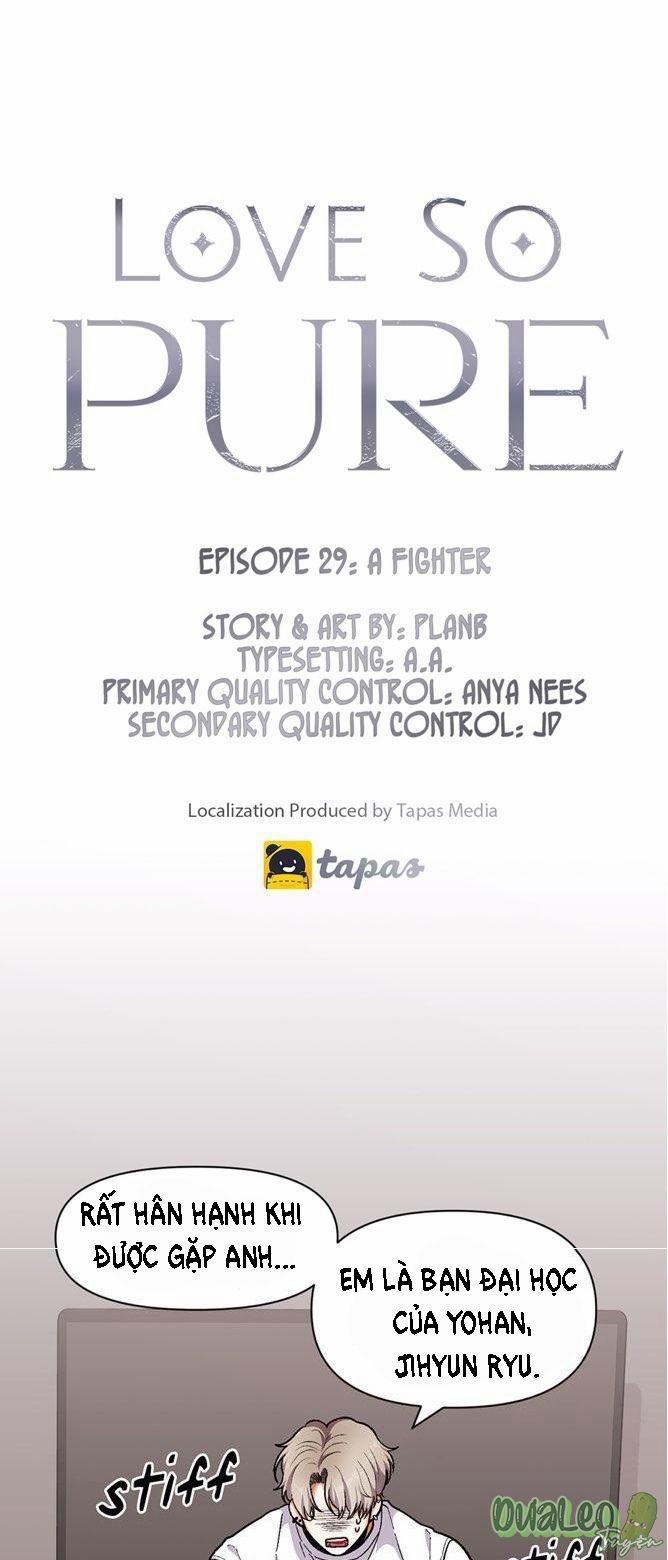 Tình Yêu Thuần Khiết 29 trang 0