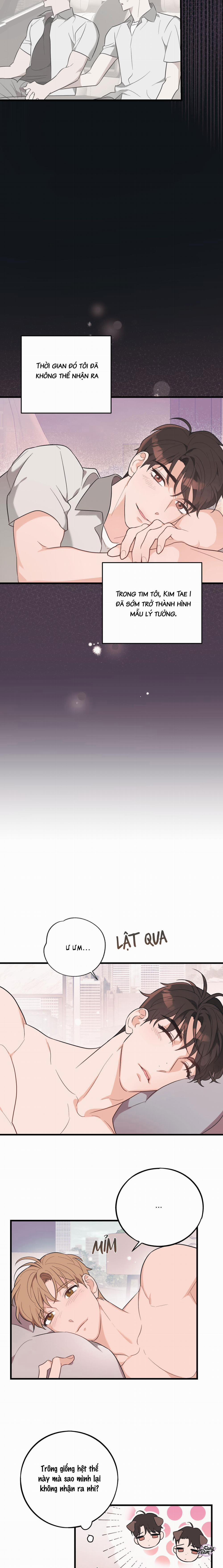 Tình Yêu Tiêu Chuẩn 11 trang 12