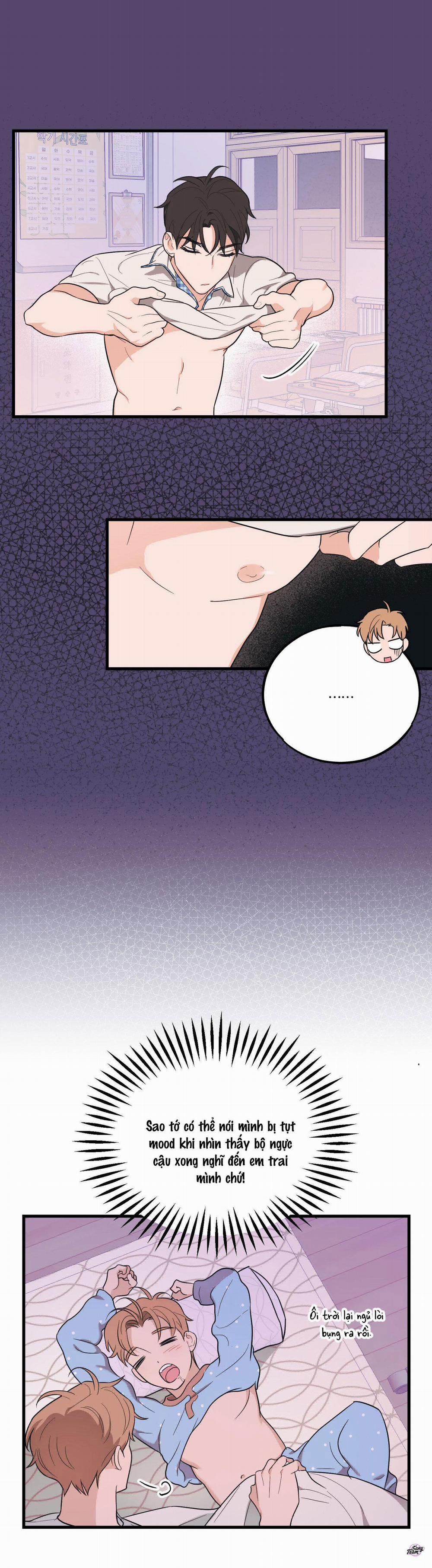 Tình Yêu Tiêu Chuẩn 11 trang 22