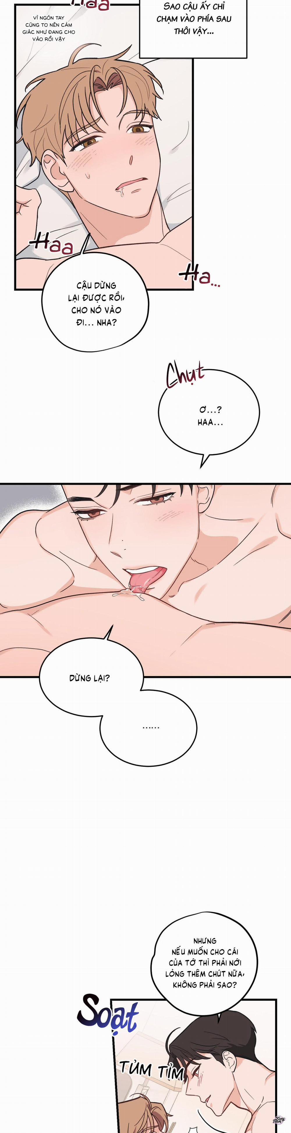 Tình Yêu Tiêu Chuẩn 2 trang 14