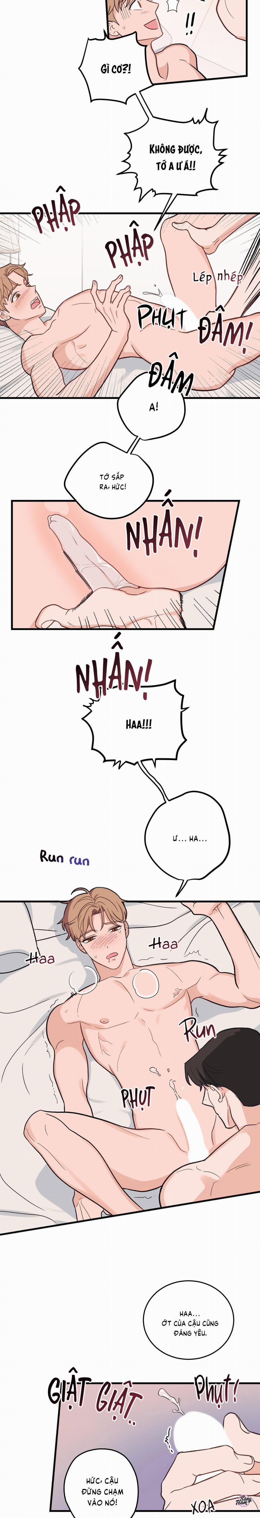 Tình Yêu Tiêu Chuẩn 2 trang 15