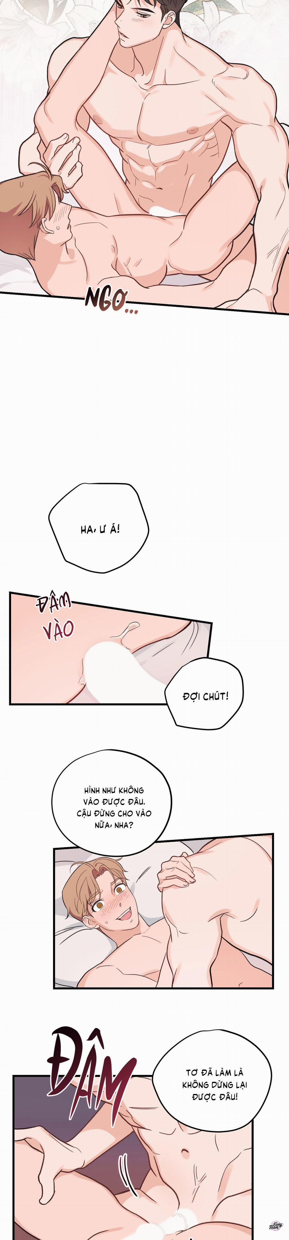 Tình Yêu Tiêu Chuẩn 2 trang 17