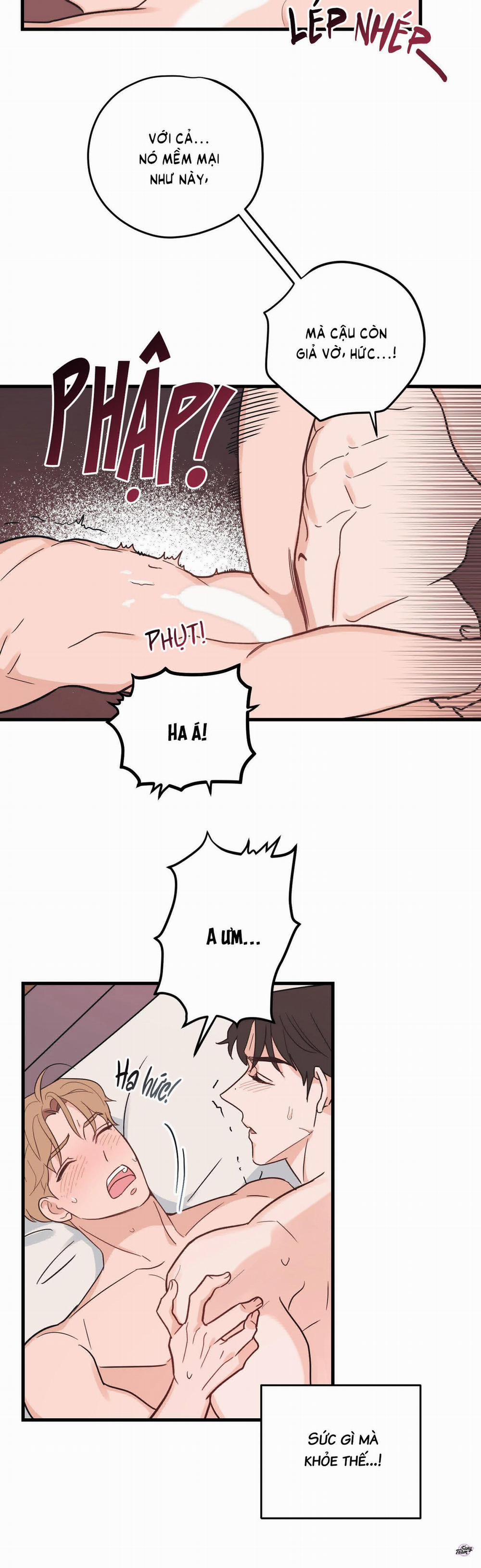 Tình Yêu Tiêu Chuẩn 2 trang 18