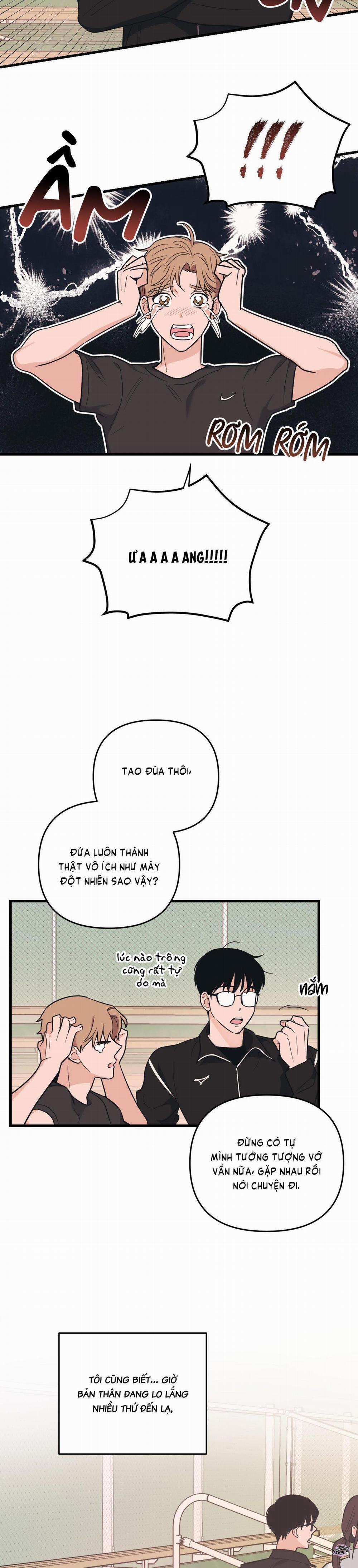 Tình Yêu Tiêu Chuẩn 4 trang 16