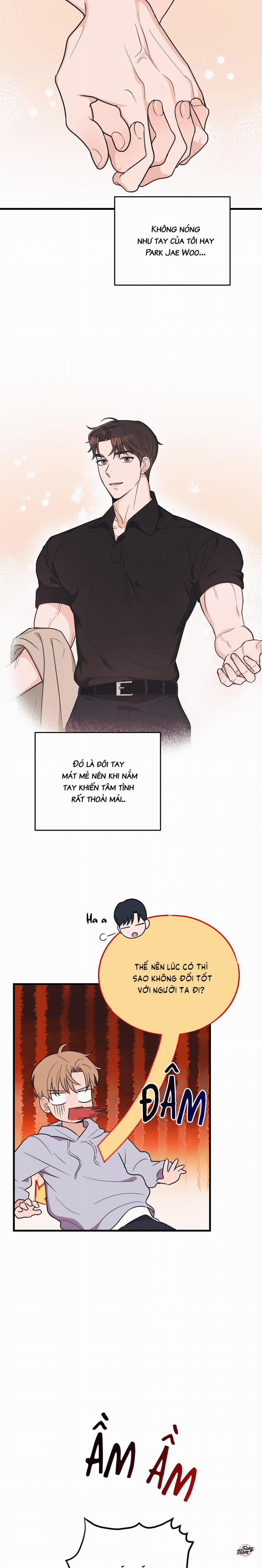 Tình Yêu Tiêu Chuẩn 5 trang 13