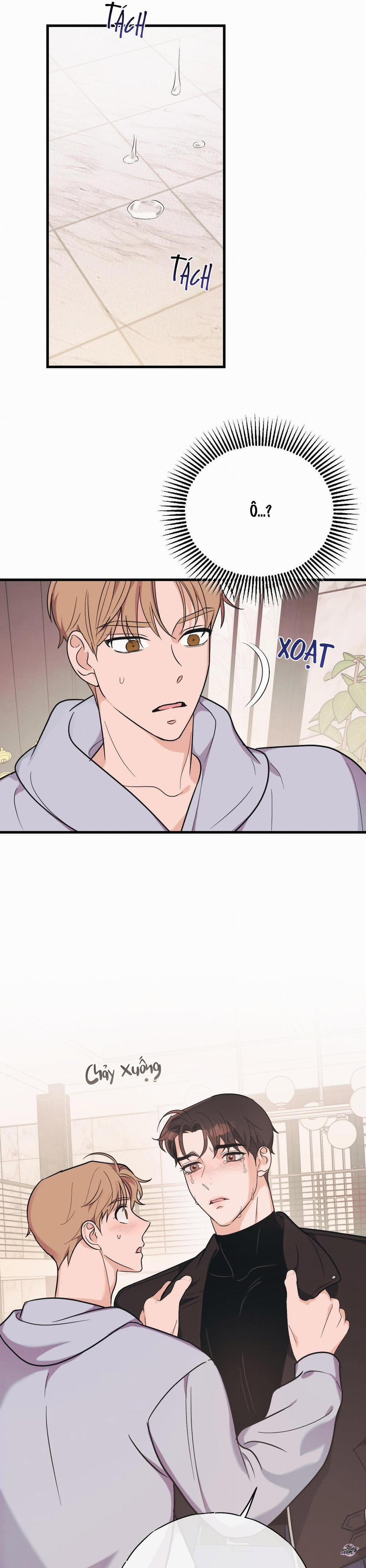 Tình Yêu Tiêu Chuẩn 6 trang 5