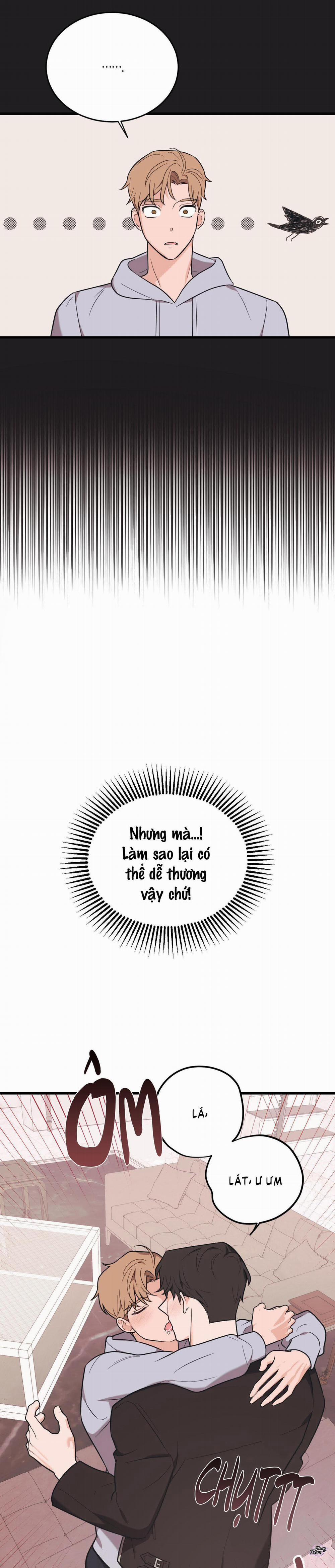 Tình Yêu Tiêu Chuẩn 8 trang 20