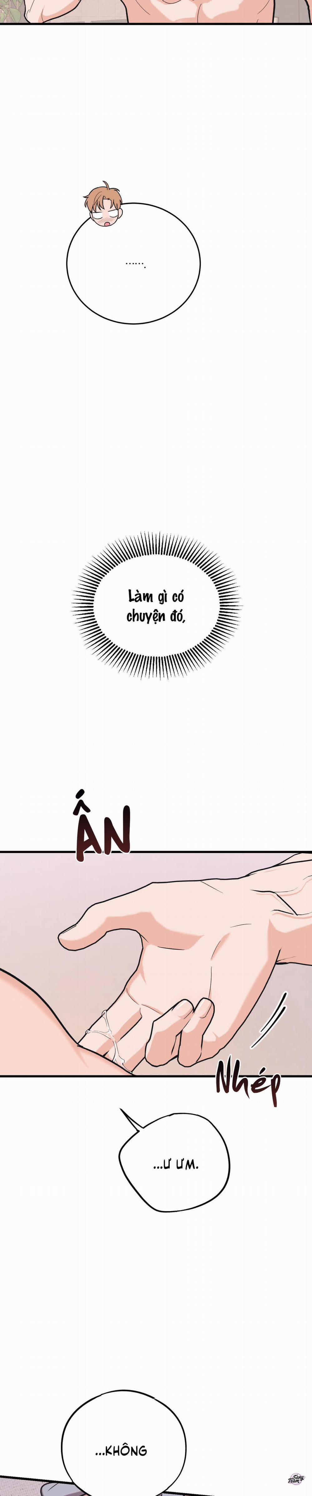 Tình Yêu Tiêu Chuẩn 8 trang 28