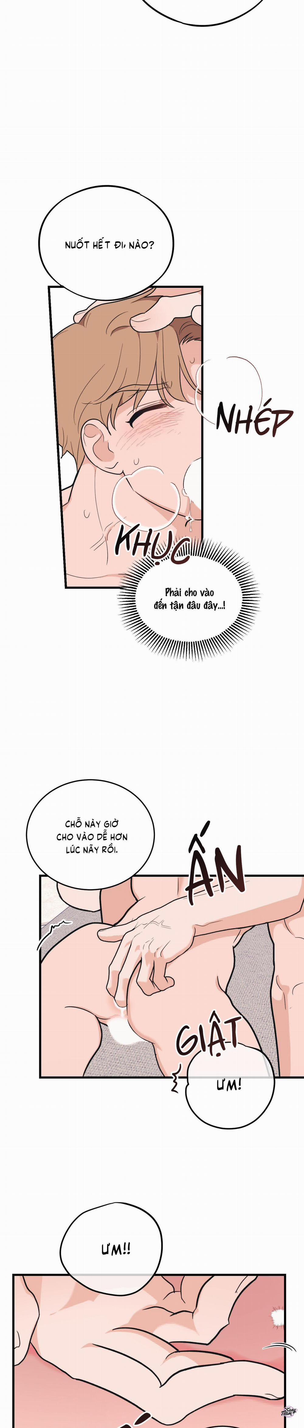 Tình Yêu Tiêu Chuẩn 9 trang 19