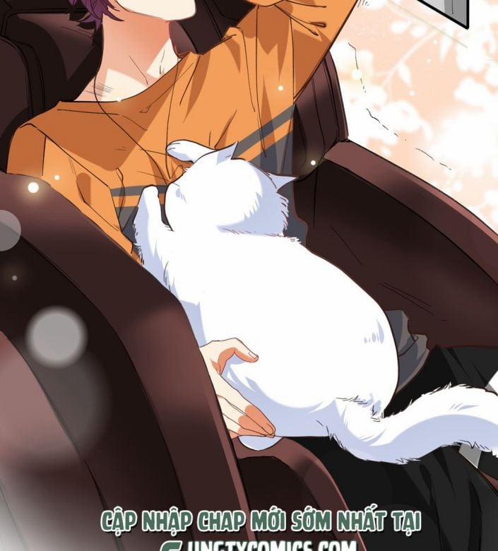 Tình Yêu Trên Mạng Của Giáo Bá Lật Xe Rồi 23 trang 48