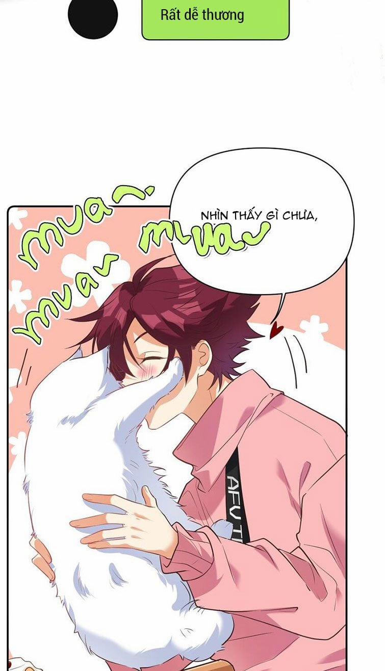 Tình Yêu Trên Mạng Của Giáo Bá Lật Xe Rồi 27 trang 12