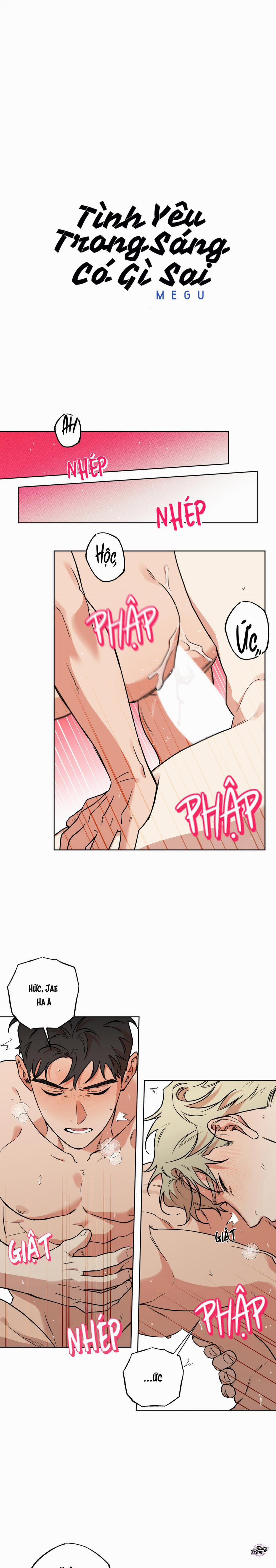 Tình Yêu Trong Sáng Có Gì Sai 10 trang 0