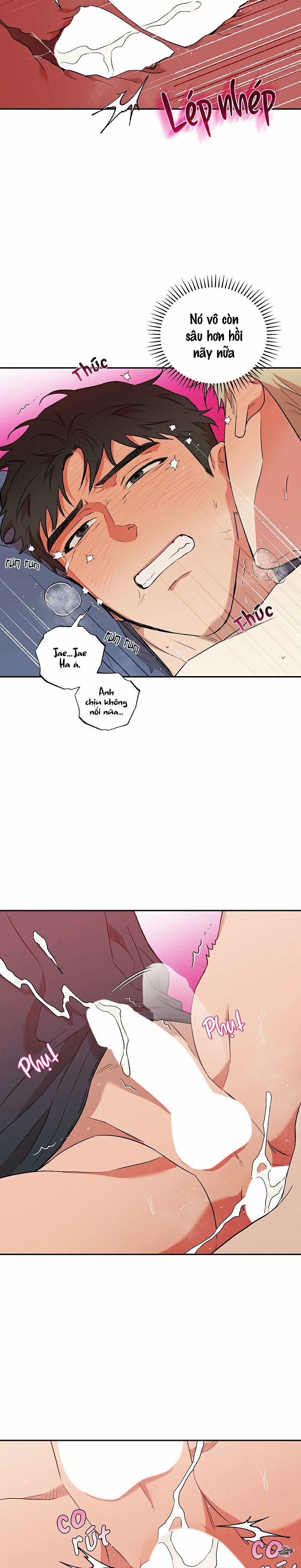 Tình Yêu Trong Sáng Có Gì Sai 14 trang 13