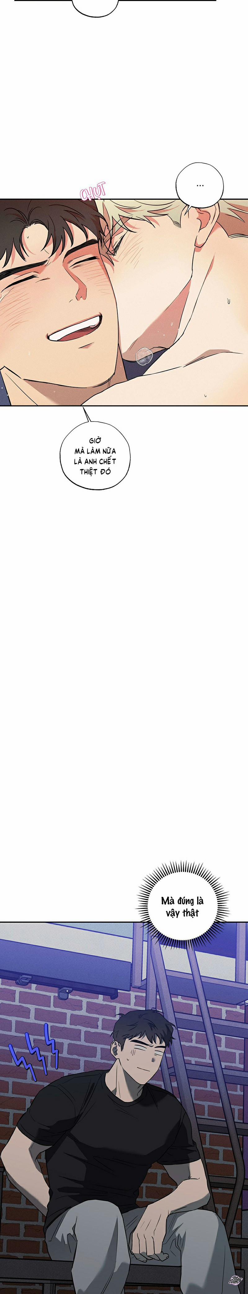 Tình Yêu Trong Sáng Có Gì Sai 14 trang 15